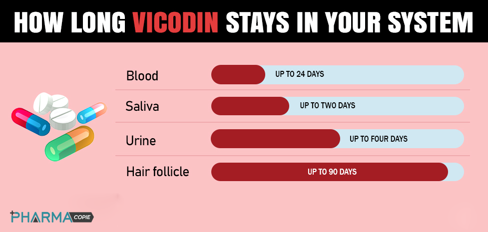 how long does vicodin stay in your system